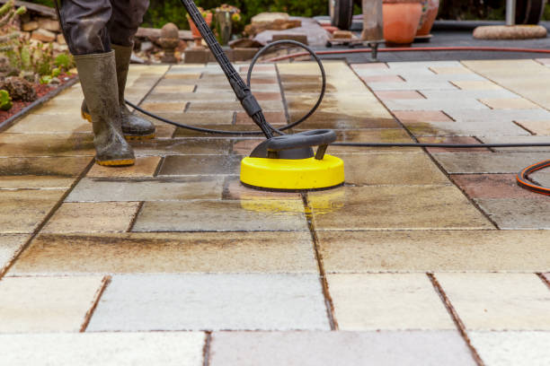 Best Roof Cleaning and Mildew Removal in Andusia, AL